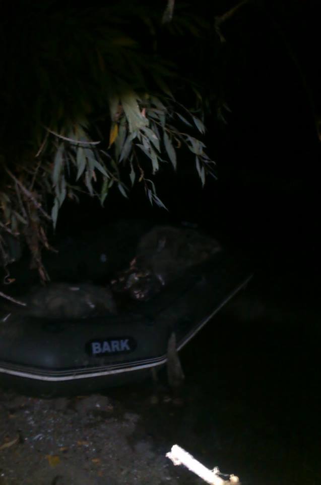 ДУК ПС Боротьба із браконьєрством