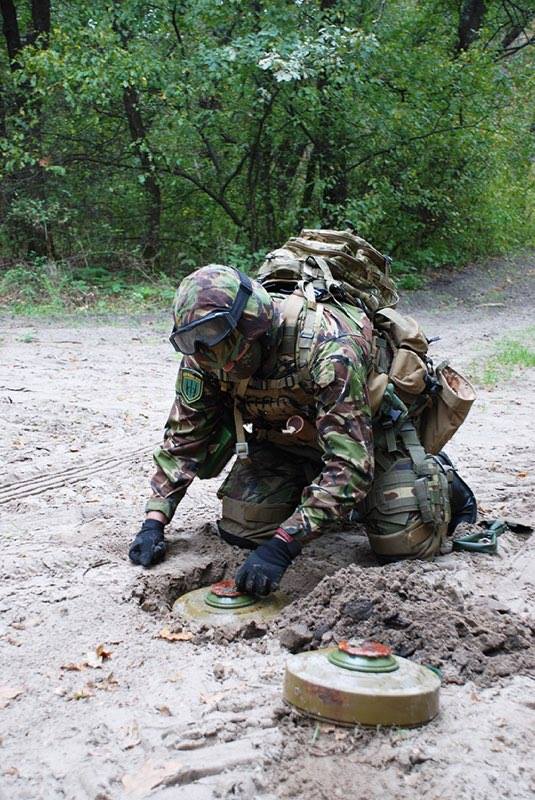 Інженерно-саперна служба УДА
