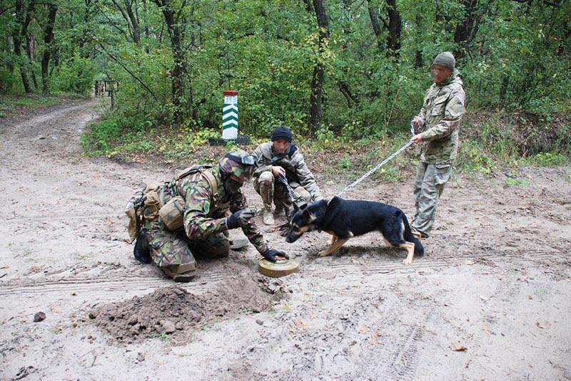 Інженерно-саперна служба УДА