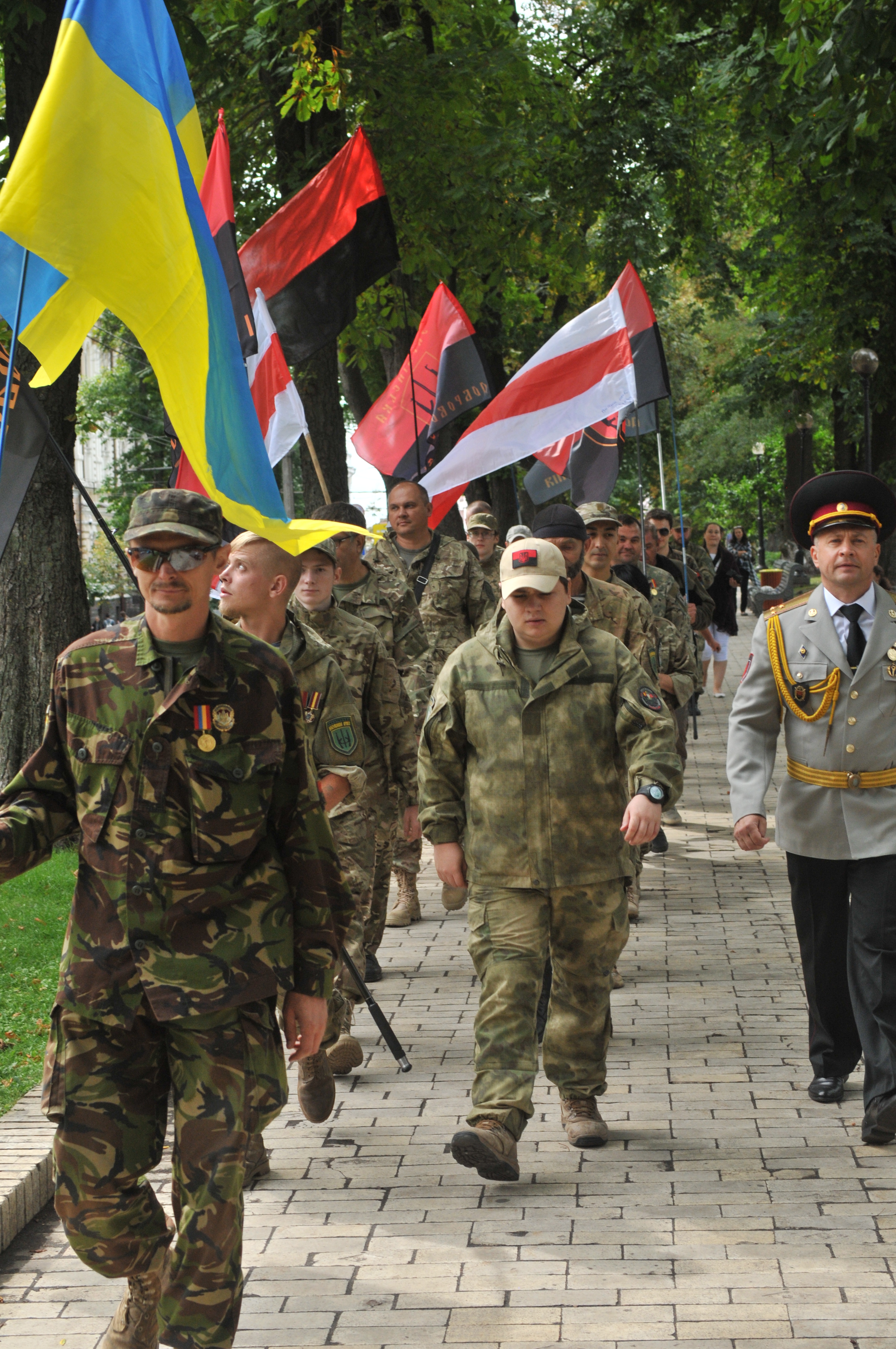 Українська Добровольча Армія