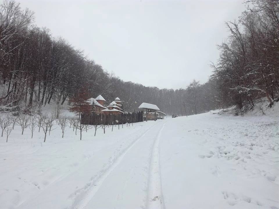 урочище Червона Діброва