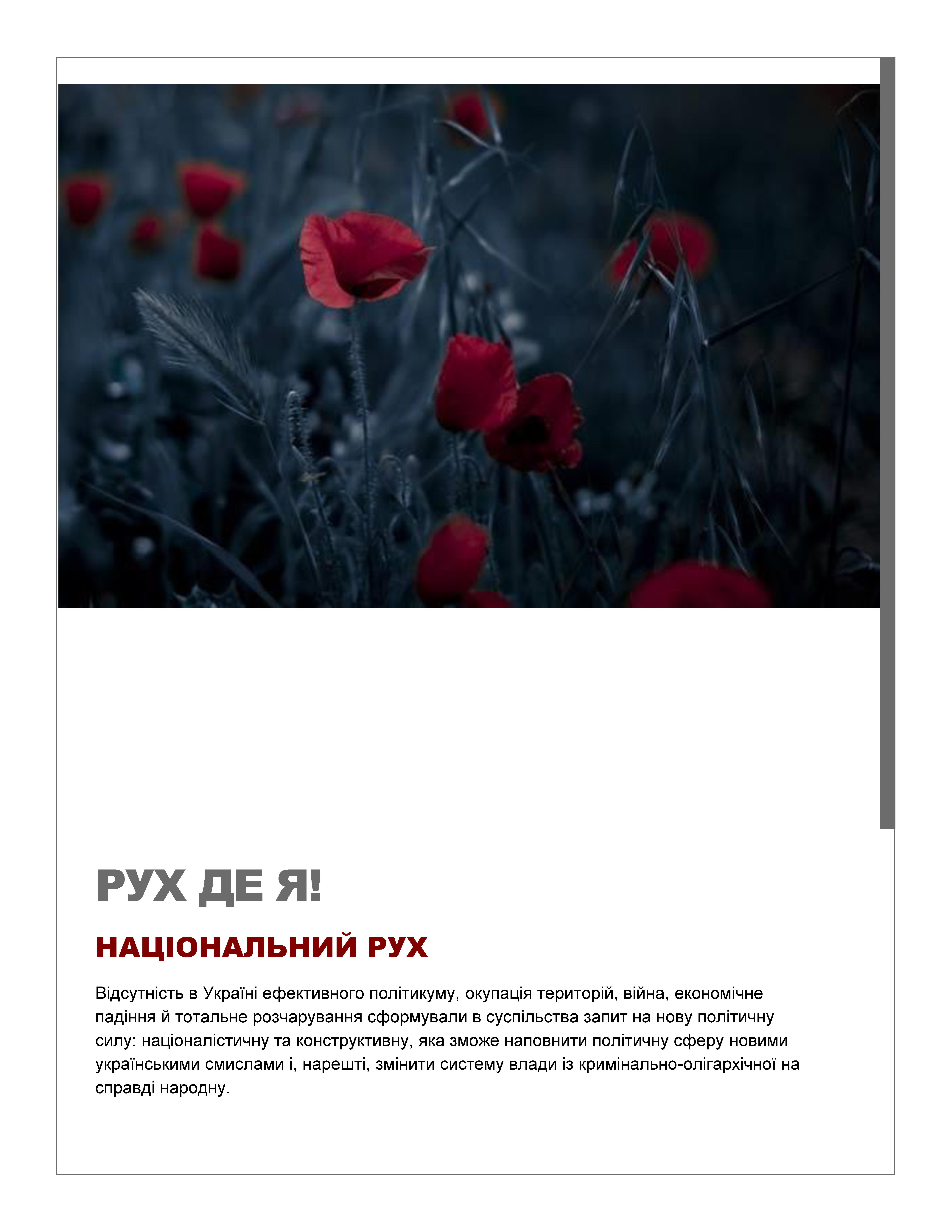 Рух Де Я Політичний  проект