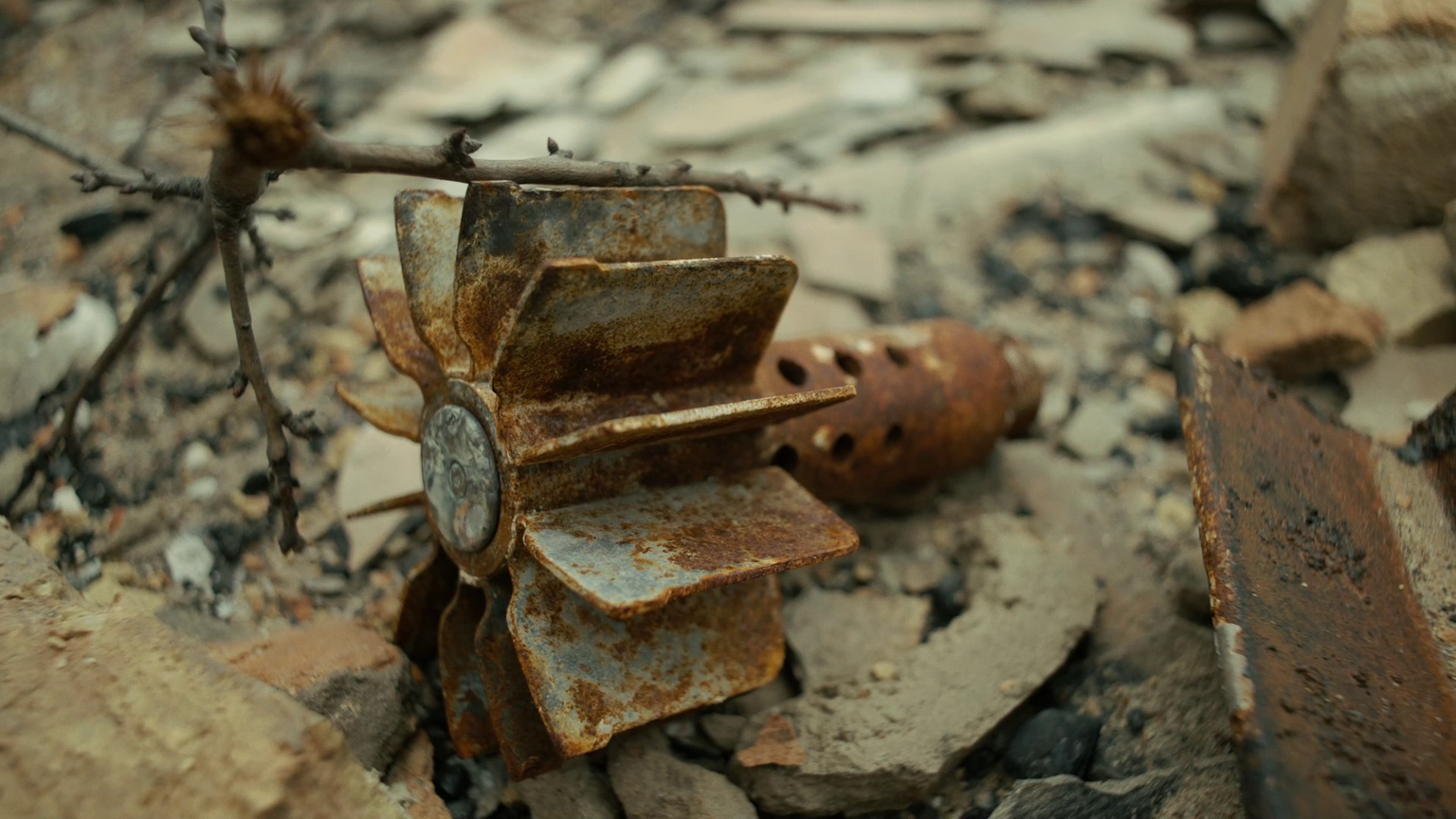 Село Залісся. Київщина. Квітень 2022