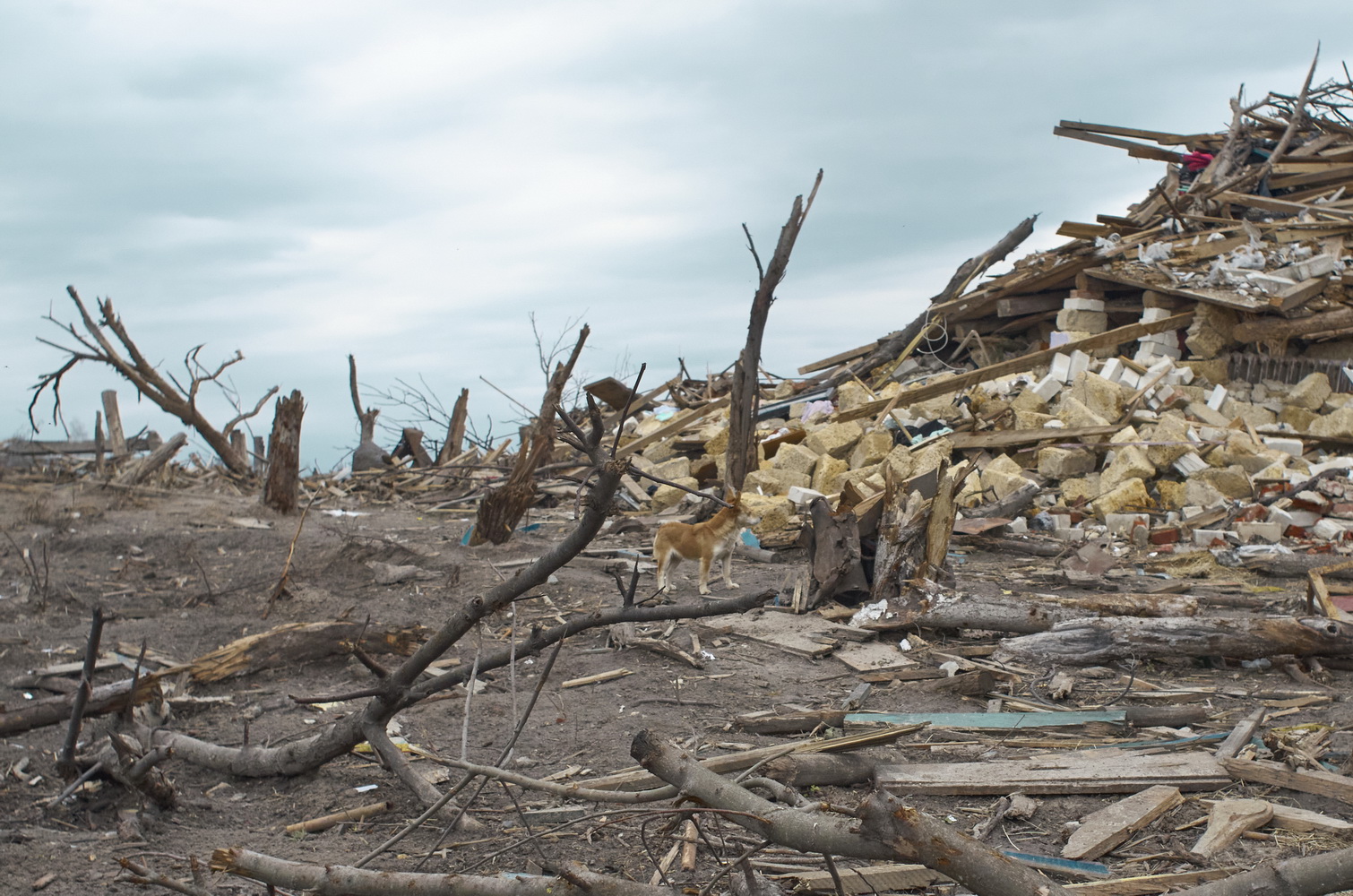 Село Кухарі. Київщина. Квітень 2022