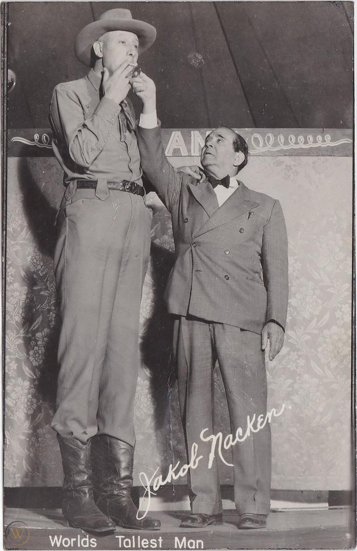 Нестандартні вояки. Німецький велетень