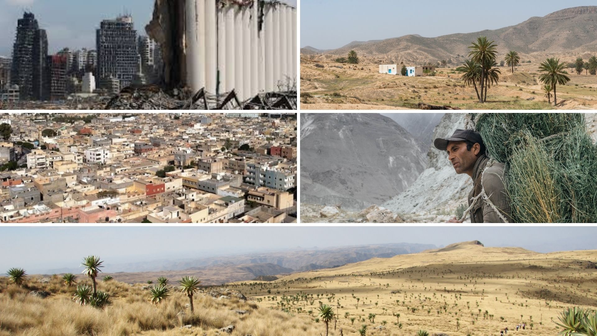 Україна постачає зернові в найбідніші країни світу