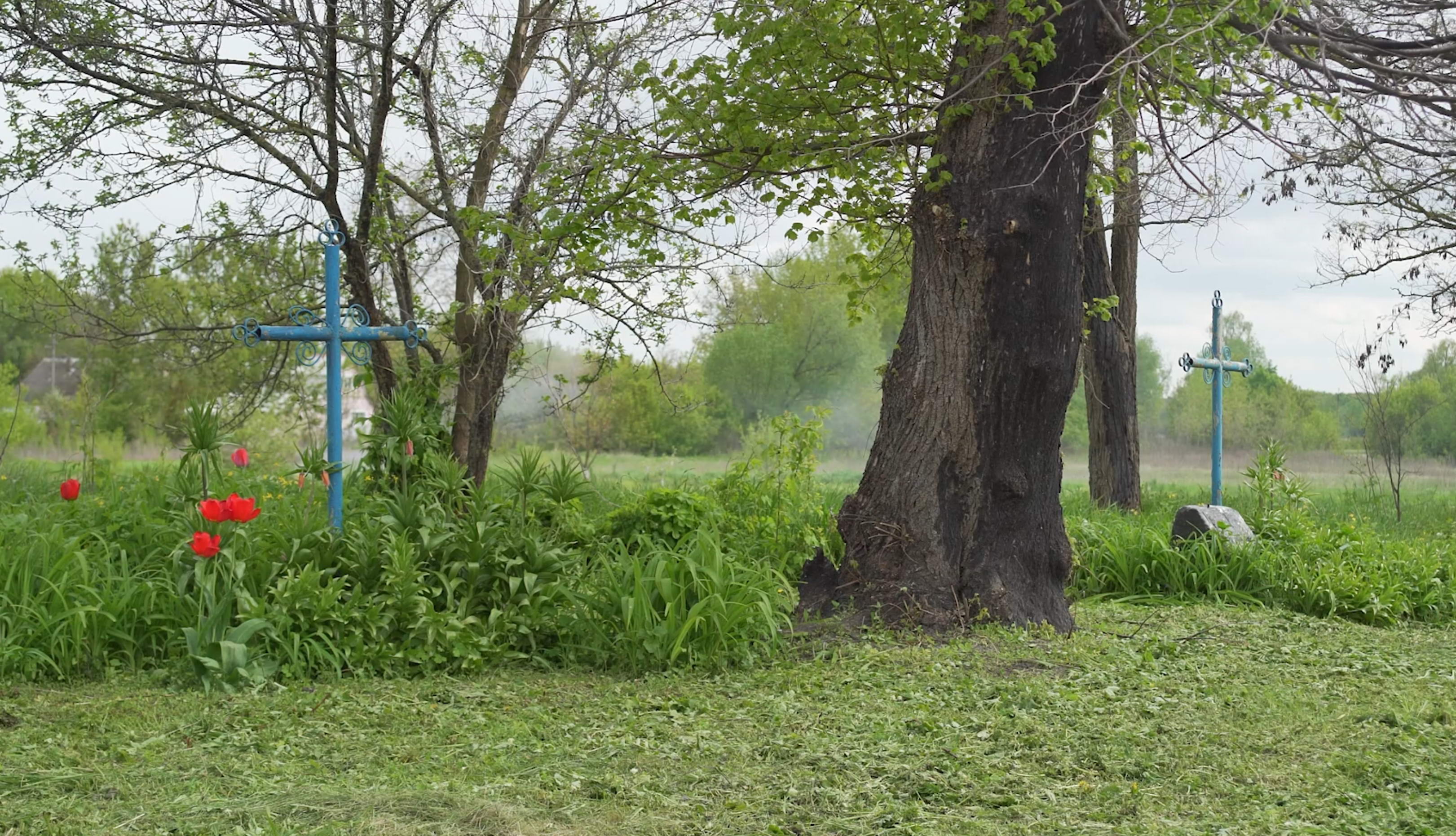 Окупація села Лук'янівка: Руйнування старовинної церкви на Київщині